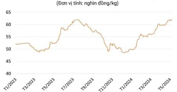 Giá heo hơi thương phẩm tiến tới vùng giá 65,000đ/kg, doanh nghiệp nào hưởng lợi?