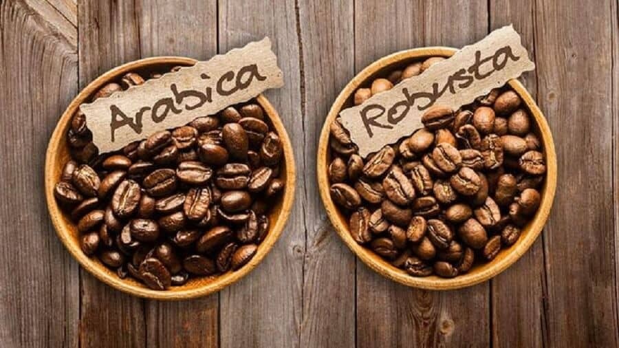 arabica-robusta-1656594749.jpg