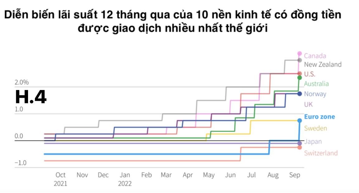 310448733-5800234223320060-4122294915551139391-n-1664781868.jpg