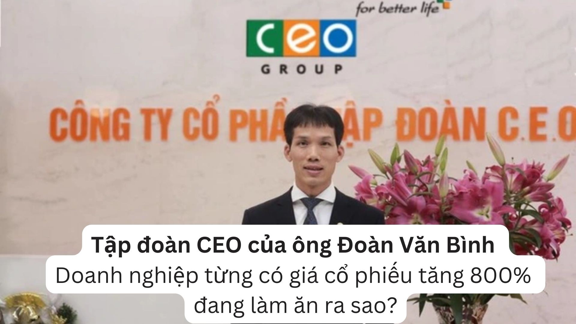 tap-doan-ceo-cua-ong-doan-van-binh-doanh-nghiep-tung-co-gia-co-phieu-tang-800-dang-lam-an-ra-sao-1-1667487970.jpg