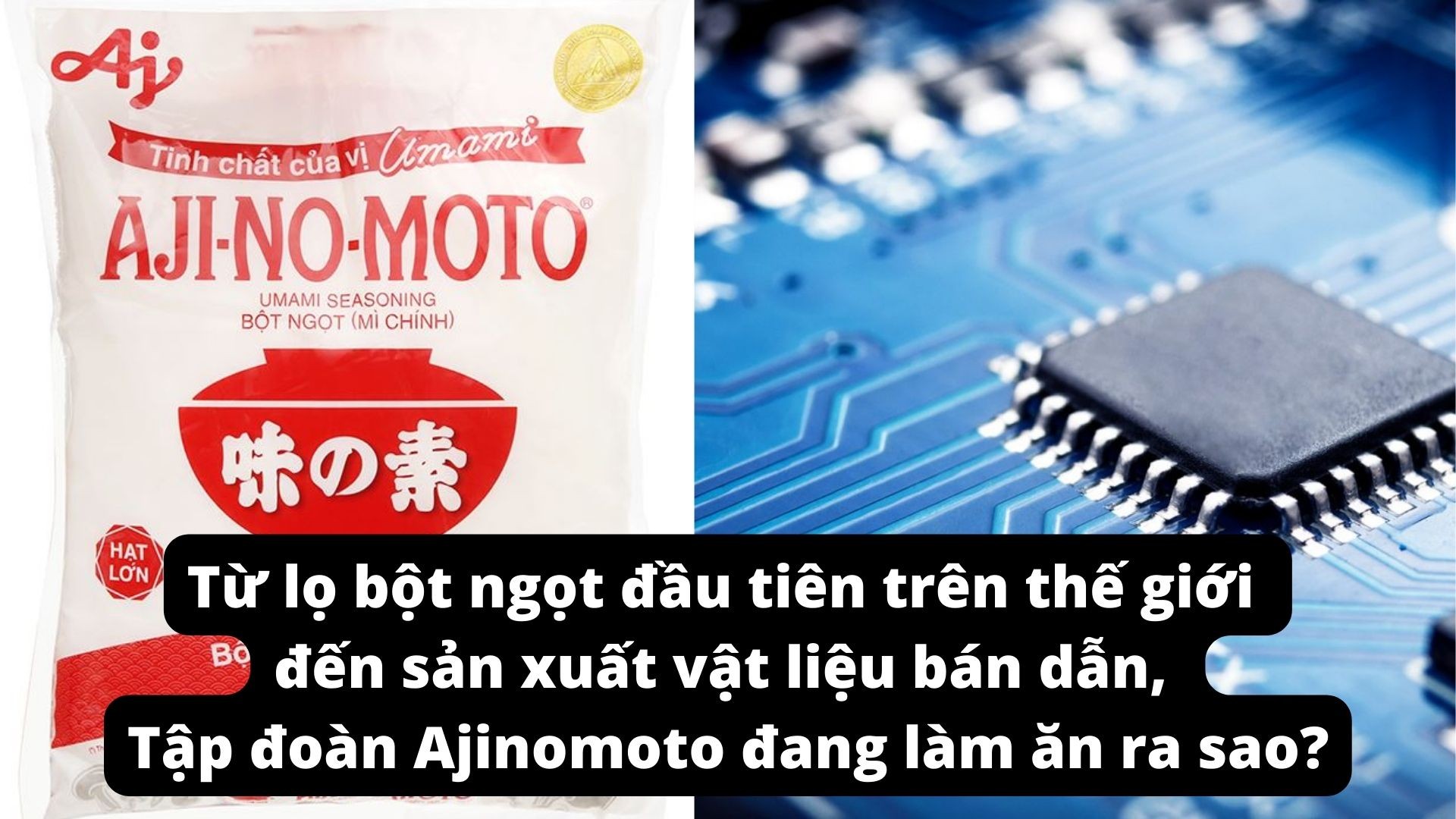 tu-bich-bot-ngot-dau-tien-tren-the-gioi-den-san-xuat-vat-lieu-ban-dan-tap-doan-ajinomoto-lam-an-ra-sao-1-1670082661.jpg