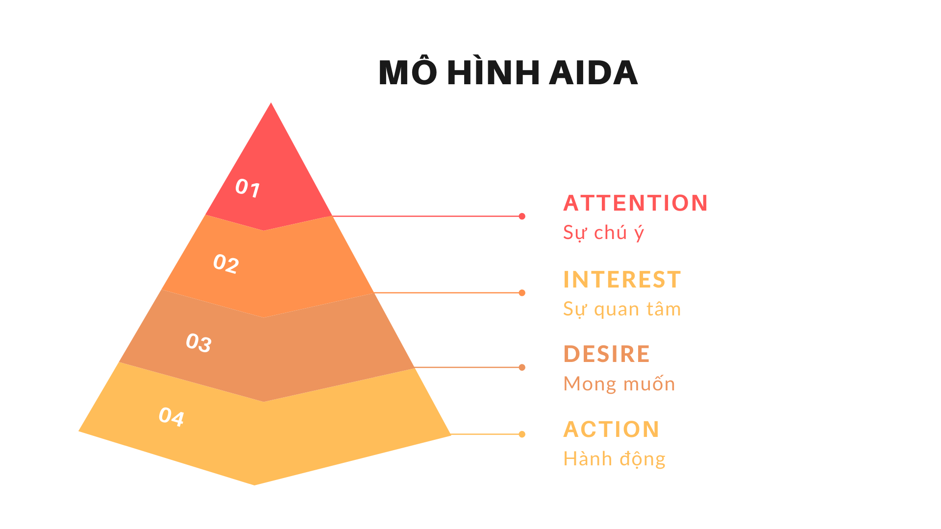 mo-hinh-aida-1672750723.png