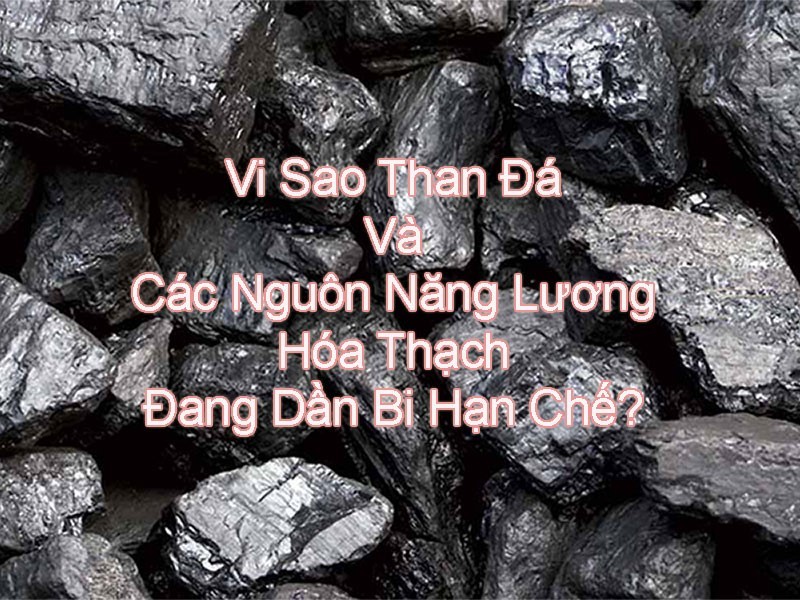 lo-vai-ty-do-la-my-nho-dao-than-ban-cau-chuyen-chi-co-o-tkv-1677237308.jpg