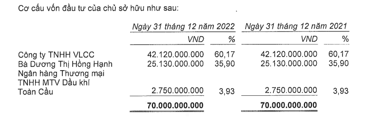 ho-so-nang-luc-red-capital-1-1679735307.PNG