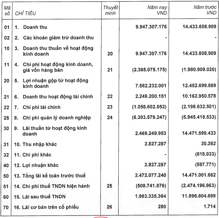 ho-so-nang-luc-red-capital-1679733664.PNG