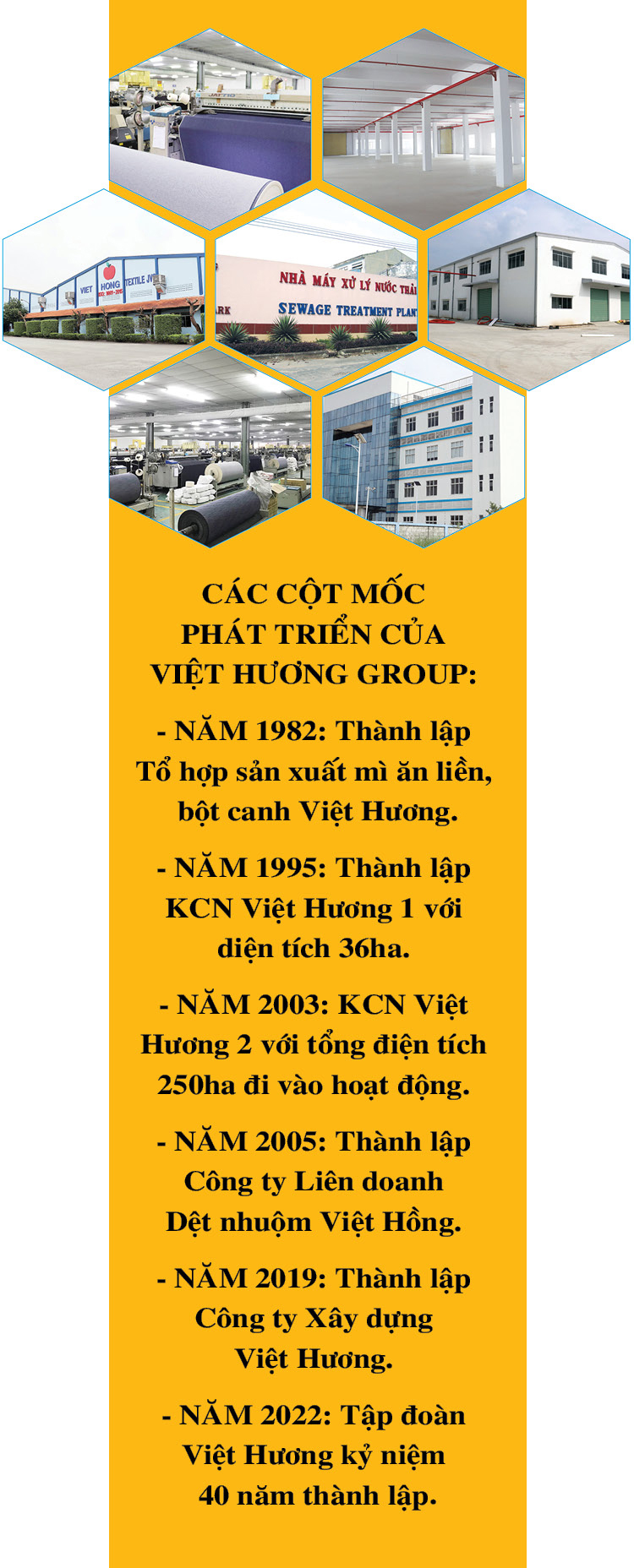 doanh-nhan-goc-hoa-hang-vay-chi-chu-tich-tap-doan-viet-huong-dang-thanh-cong-voi-mi-an-lien-dot-ngot-chuyen-huong-khu-cong-nghiep-qua-tao-bao-va-thong-minh-1-1683866604.png