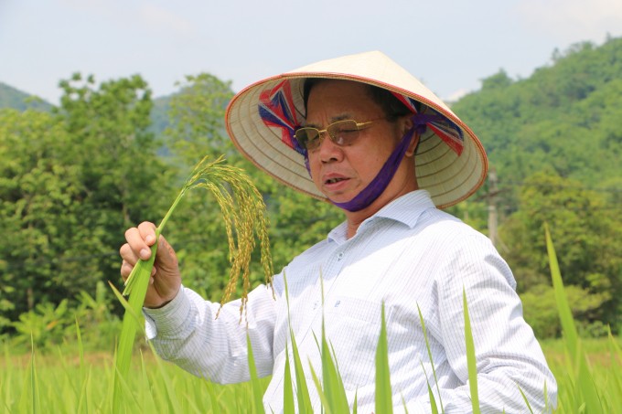 anh-hung-lao-dong-tran-minh-bao-ca-doi-tam-huyet-voi-lua-giong-tu-anh-chan-lon-den-chu-tich-hdqt-kiem-tong-giam-doc-thaibinh-seed-2-1685702897.jpeg