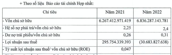 board-profiles-ban-lanh-dao-cua-xi-mang-xuan-thanh-gom-nhung-ai-khi-lien-quan-toi-3-anh-em-ty-phu-ninh-binh-1-1686217982.png