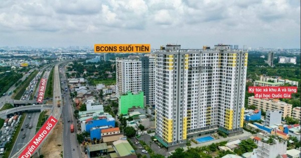 chan-dung-bcons-ong-lon-dia-oc-co-ten-tuoi-tai-thi-truong-binh-duong-3-1697735798.jpg
