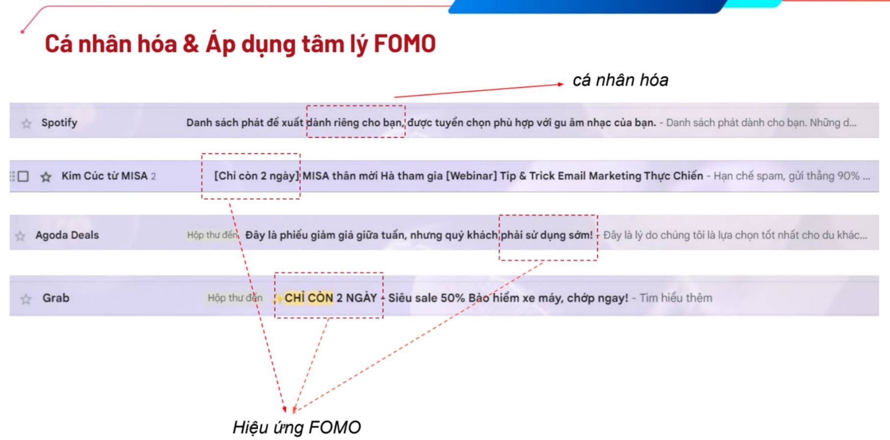 ung-dung-quy-trinh-pdca-vao-email-marketing-toi-uu-spam-90-email-vao-inbox5-1703072704.jpeg