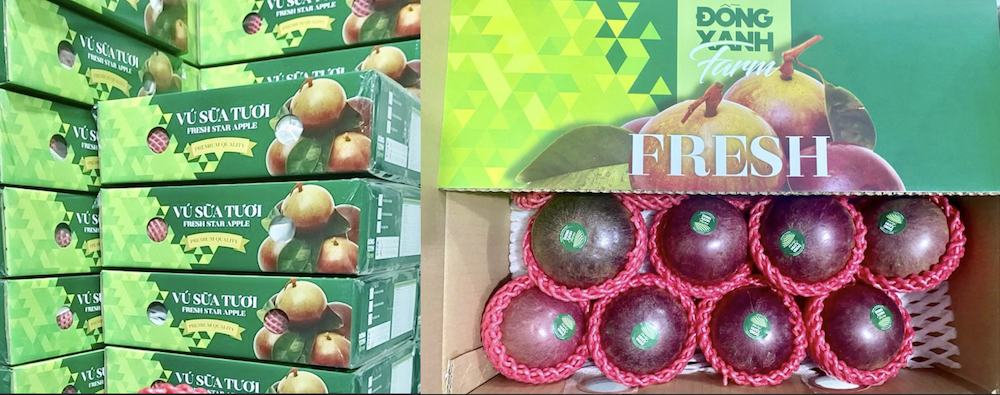 dong-xanh-farm-dua-trai-cay-viet-chinh-phuc-nhung-thi-truong-kho-tinh-tren-the-gioi-2-1707209653.png