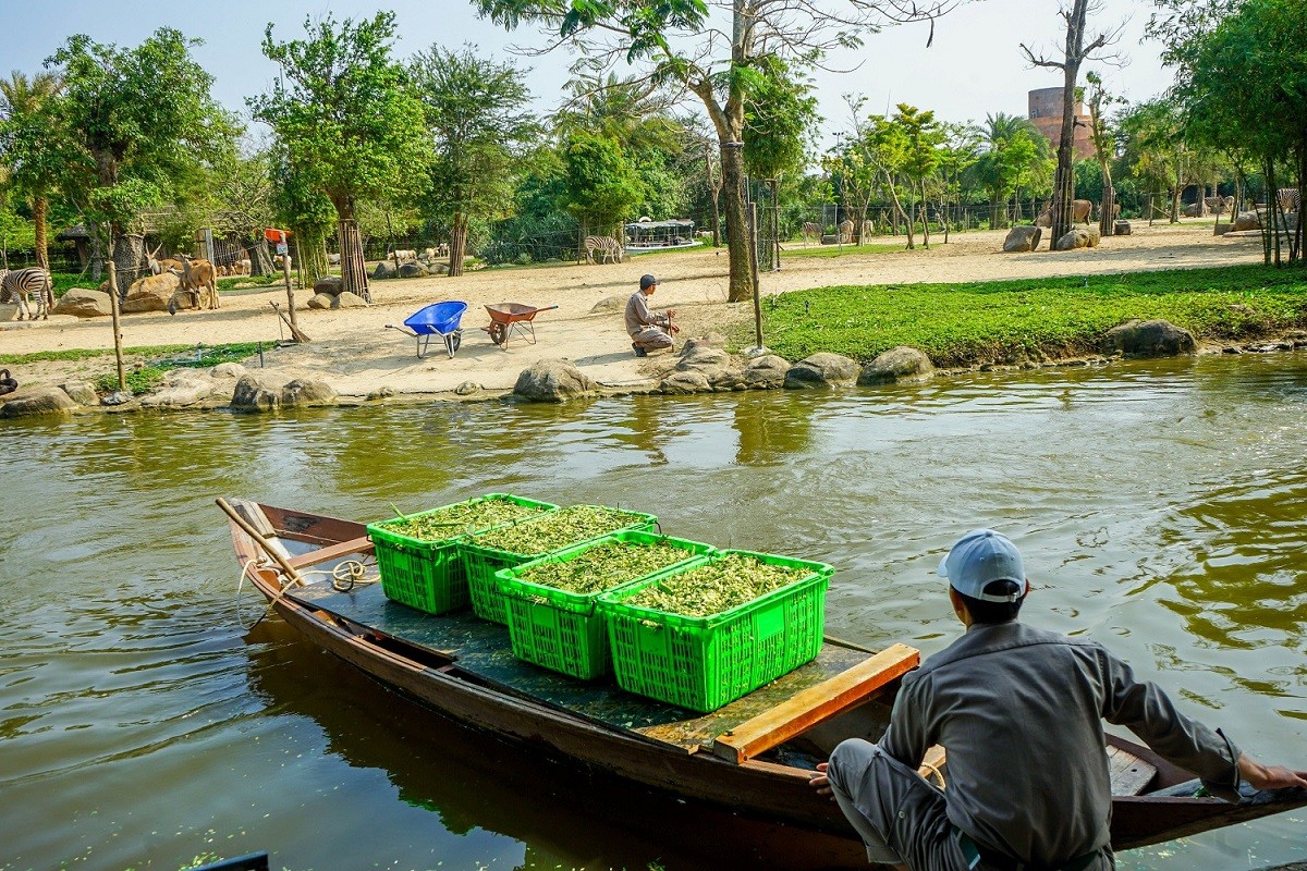 tham-lang-nhung-bao-mau-lenh-denh-ngay-dem-cung-dong-vat-hoang-da-o-river-safari-2-1711098452.jpg