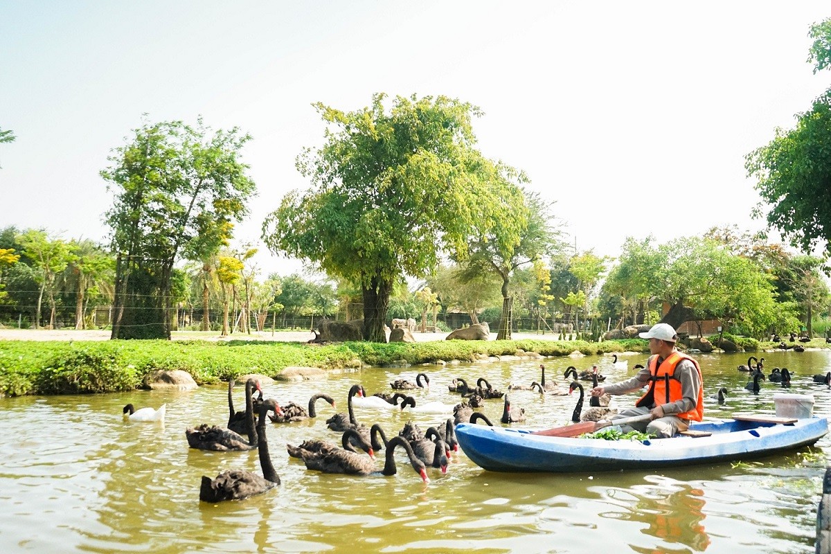 tham-lang-nhung-bao-mau-lenh-denh-ngay-dem-cung-dong-vat-hoang-da-o-river-safari-4-1711098452.jpg
