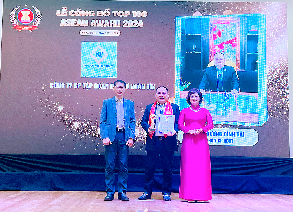 chan-dung-ong-truong-dinh-hai-chu-tich-hdqt-tap-doan-ngan-tin-vua-duoc-vinh-danh-tai-asean-award-2024-1716534531.png