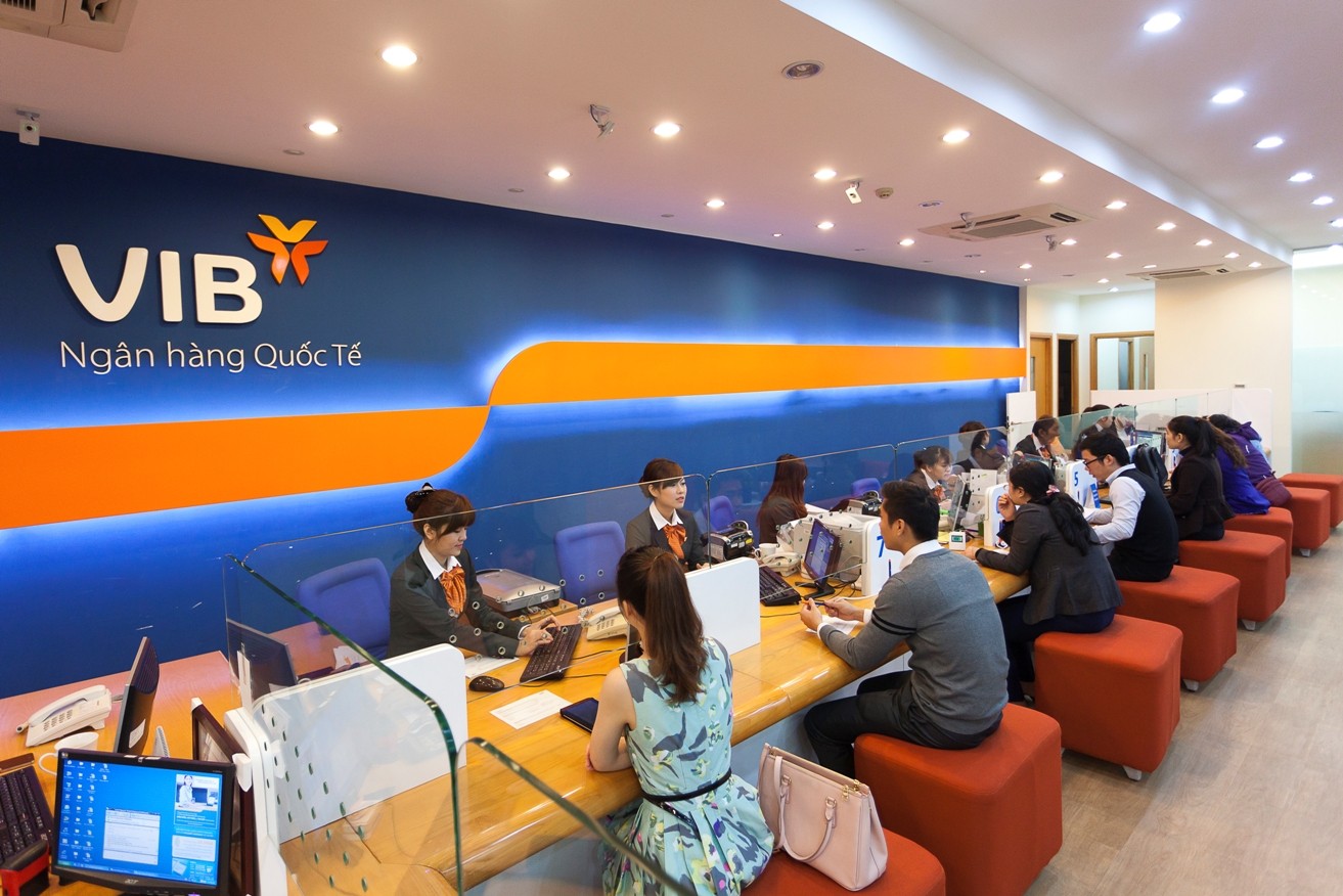 vib-5-1722927774.jpg