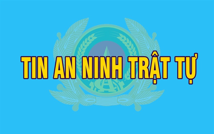 antt-17236240481051336658395-0-0-861-1378-crop-17236240514101208179629-1723692041.jpg