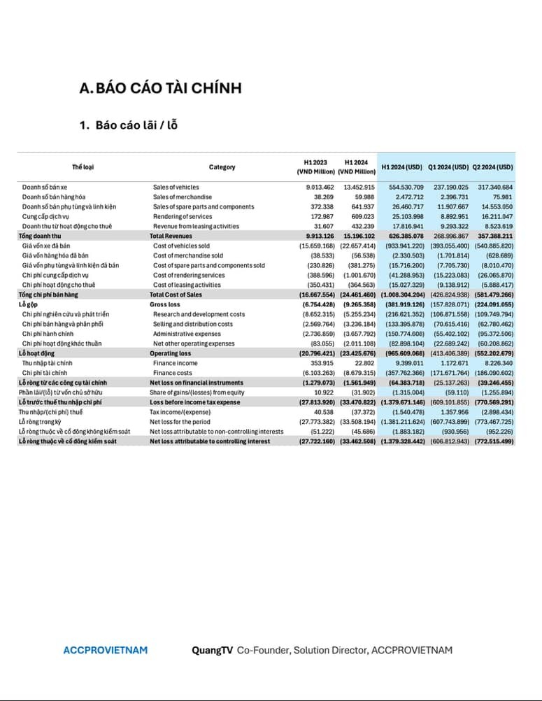 vinfast-co-thuc-su-dang-kinh-doanh-hieu-qua-nhu-loi-don-2-1730094778.jpg