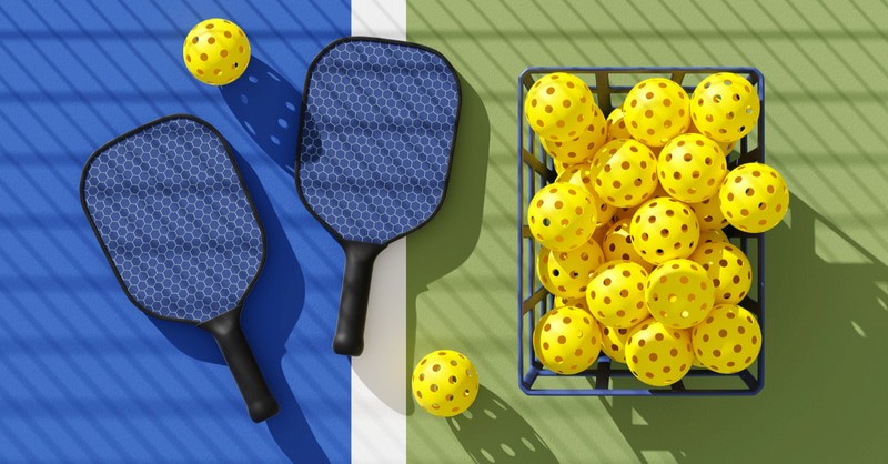 lam-sao-de-kiem-tien-tu-mon-pickleball-day-doc-bai-nay-va-moi-cac-cao-nhan-gop-y-them-3-1734494985.png