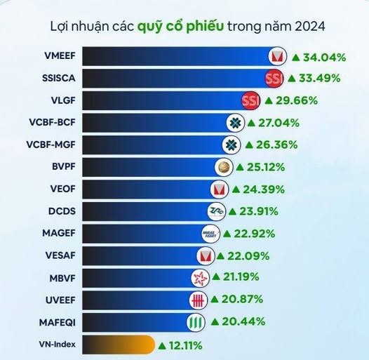 quy-mo-1736834123.jpg