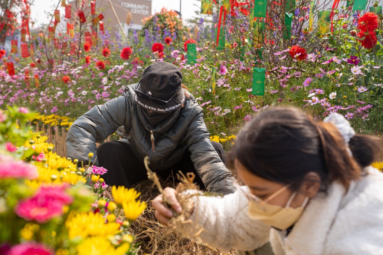 home-hanoi-xuan-2025-nghe-thanh-am-tet-viet-truoc-gio-ngan-vang-6-1737097421.jpeg
