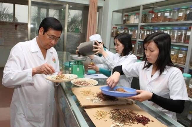 ai-nua-nha-y-duoc-bao-long-hoa-khoi-gac-lai-hao-quang-vuong-mien-noi-nghiep-cha-dung-cay-thuoc-tri-benh-cuu-nguoi-7-1740641838.jpg
