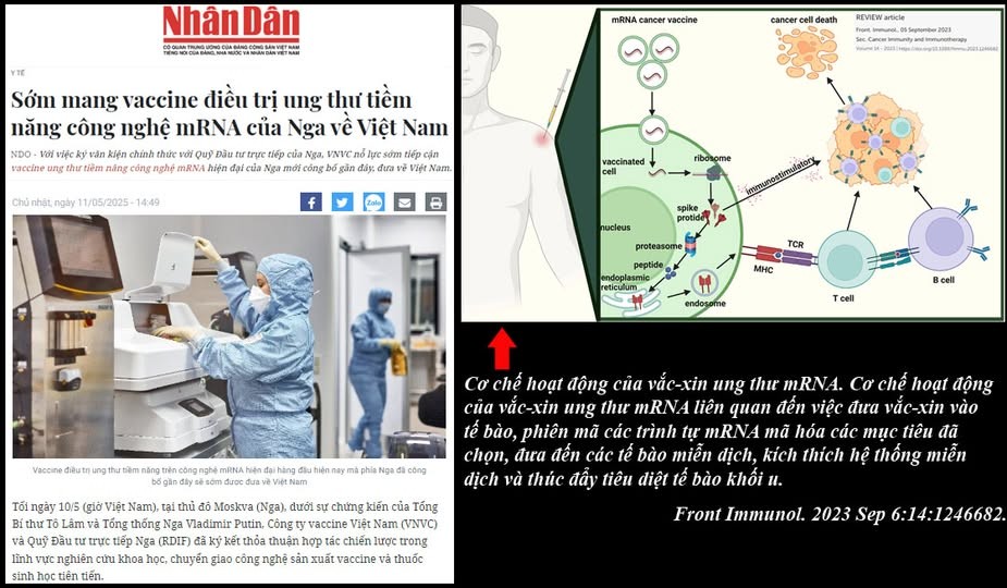 vaccin-ung-thu-cua-nga-1747035142.jpg