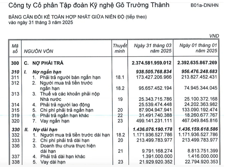 go-truong-thanh-ttf-no-hon-2370-ty-bi-truy-doi-14-ty-tien-thue2-1747906313.png