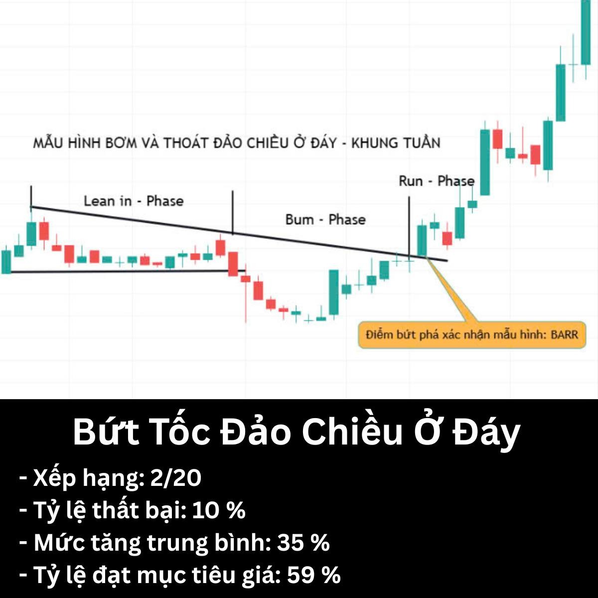 4-mau-hinh-dao-chieu-ty-le-that-bai-thap-dang-tin-cay-trong-thi-truong-con-gau2-1748318360.jpg