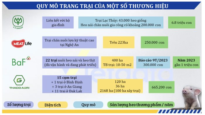 anh-chup-man-hinh-2024-05-30-luc-144913-20240530144926967-1748584128844-1748584128960374617815-1748589555.png