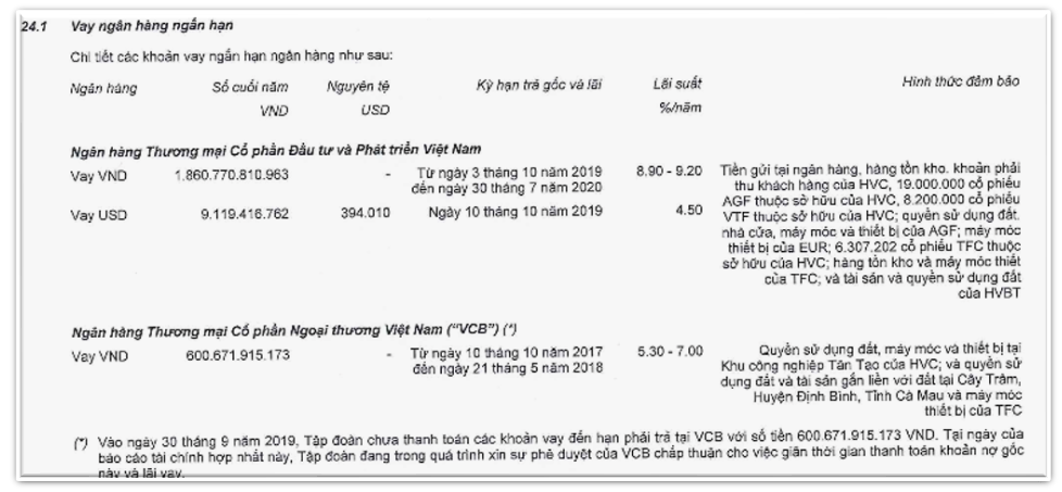 hung-vuong-hvg-giau-bao-cao-tai-chinh-3-nam-om-no-3000-ty-truoc-khi-bi-xu-phat-1752804422.png