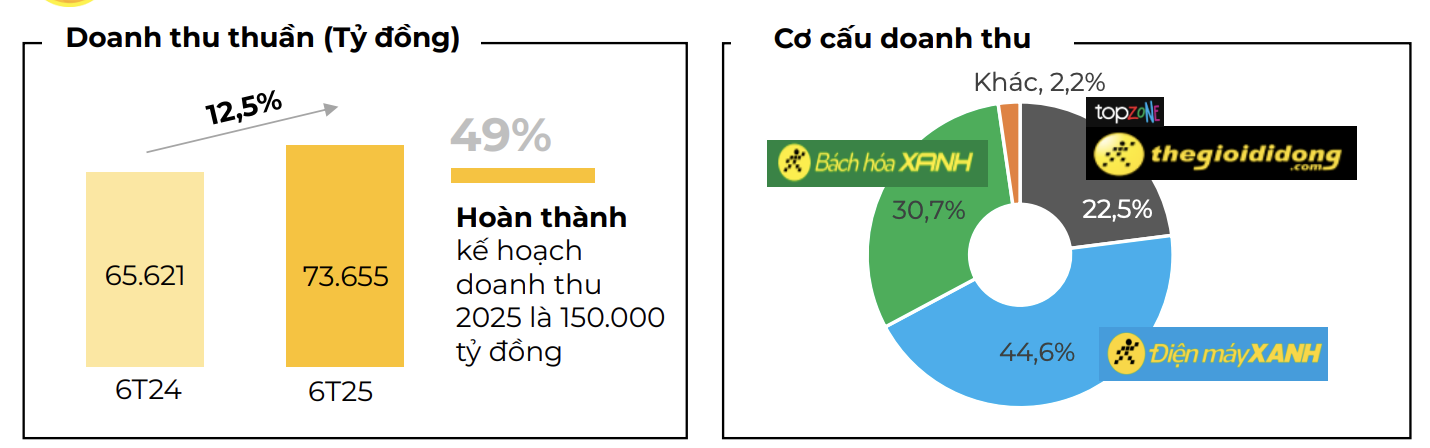 he-lo-ket-qua-kinh-doanh-6-thang-dau-nam-cua-the-gioi-di-dong-bach-hoa-xanh-giam-toc-do-mo-moi-2-1753529317.png