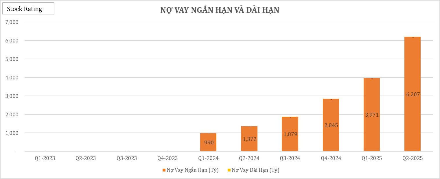 22-bieu-do-cat-lop-bao-cao-tai-chinh-q22025-cua-vix12-1755484713.jpg