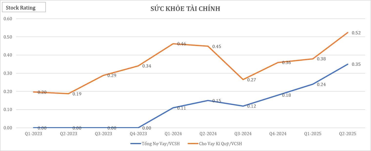 22-bieu-do-cat-lop-bao-cao-tai-chinh-q22025-cua-vix13-1755484713.jpg