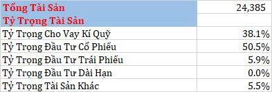 22-bieu-do-cat-lop-bao-cao-tai-chinh-q22025-cua-vix21-1755484712.jpg