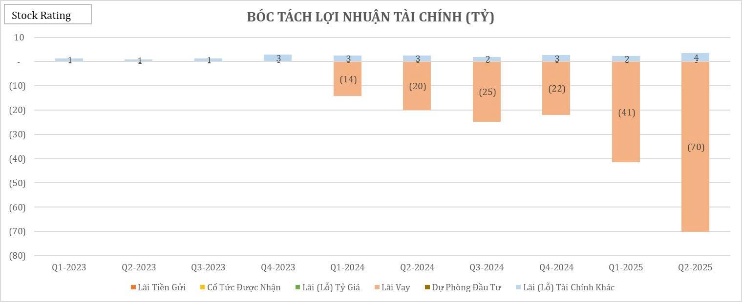 22-bieu-do-cat-lop-bao-cao-tai-chinh-q22025-cua-vix6-1755484714.jpg