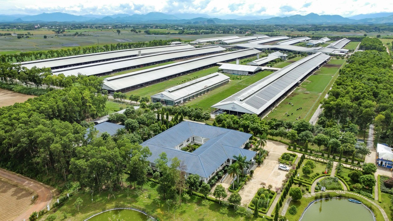 viet-nam-co-thuong-hieu-sua-duoc-danh-gia-tiem-nang-nhat-toan-cau-2a-1755505078.jpeg