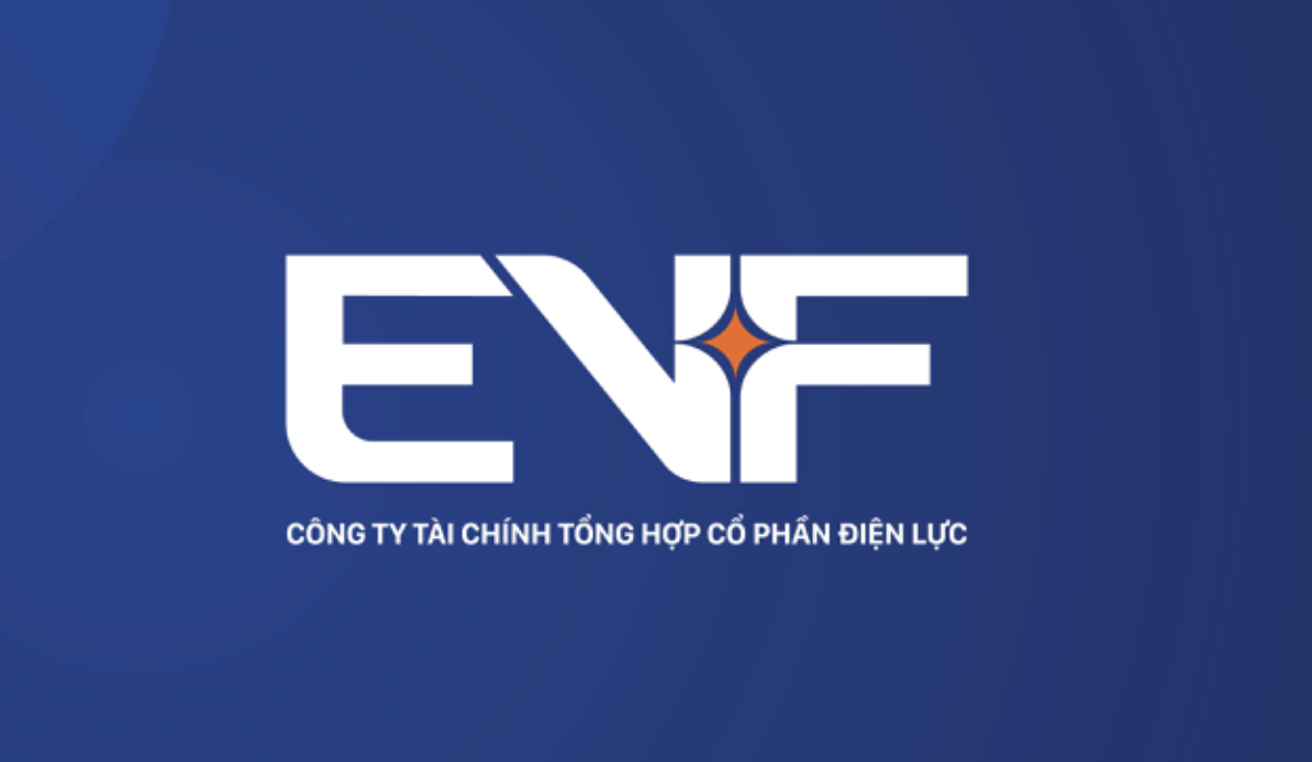 evn-finance-doi-ten-sau-loat-goc-khuat-bi-thanh-tra-chi-ra-1755854262.png