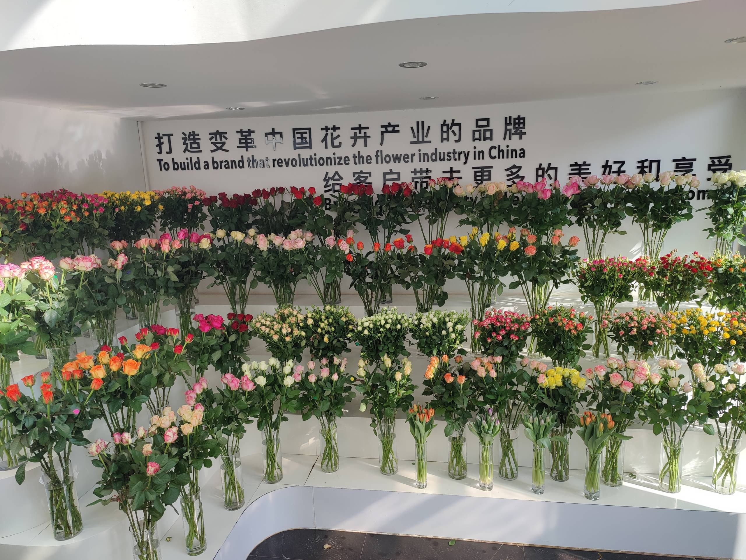 showroom-scaled-1756958419.jpg