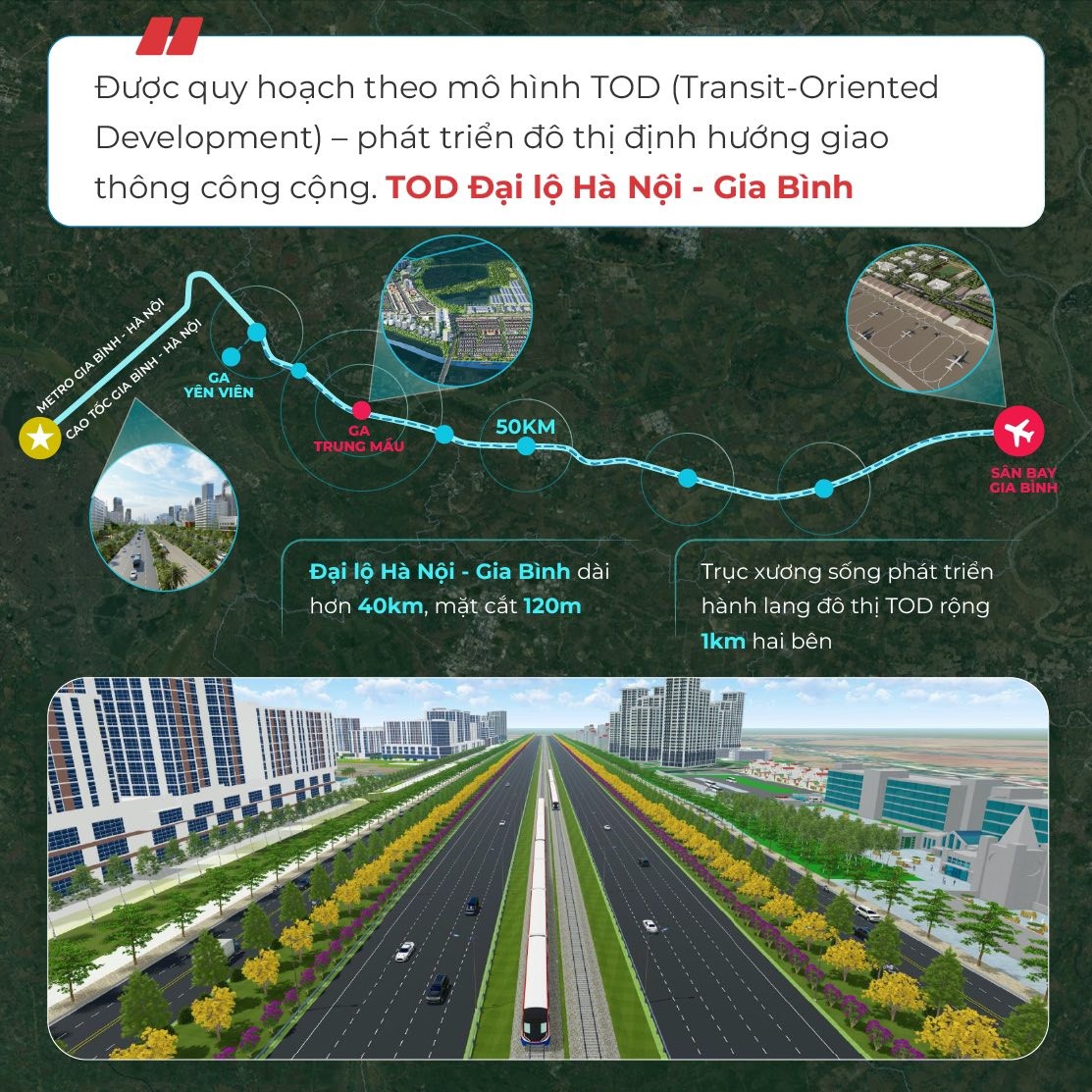 hai-dai-du-an-long-thanh-va-gia-binh-cu-hich-ha-tang-dua-do-thi-viet-nam-vao-chu-ky-phat-trien-moi4-1757904426.jpg