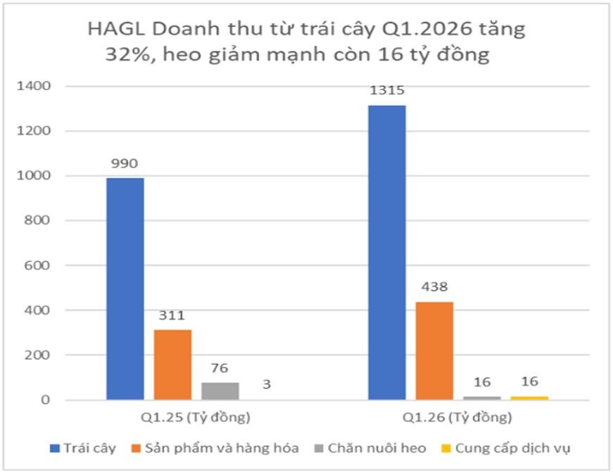 giai-ma-khoan-lai-dot-bien-cua-hagl-quy-12026-dieu-gi-dung-phia-sau-3-1779438871.jpg