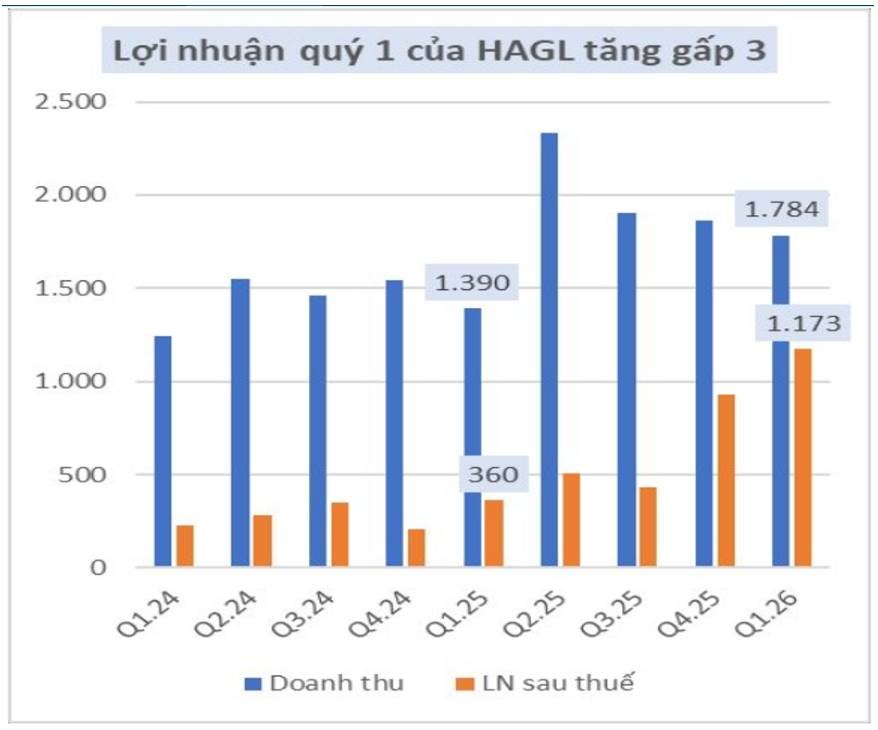giai-ma-khoan-lai-dot-bien-cua-hagl-quy-12026-dieu-gi-dung-phia-sau-4-1779438871.jpg