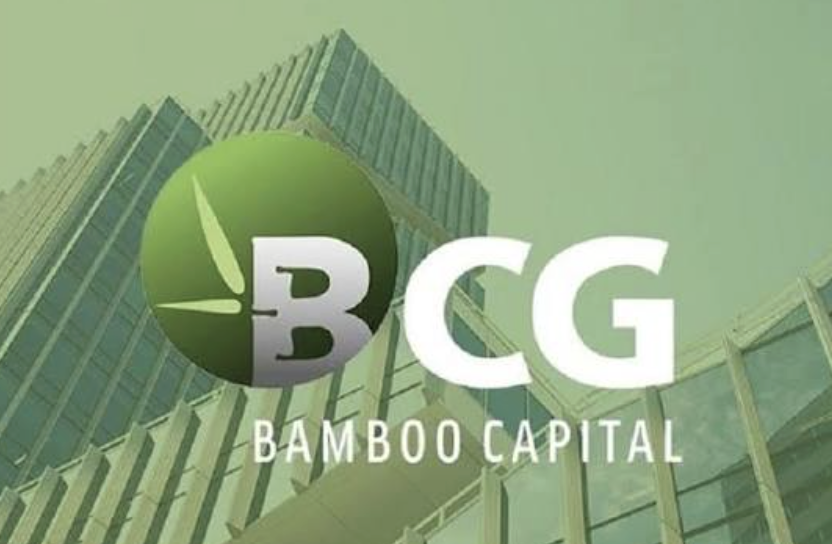 sau-khi-hose-quyet-dinh-huy-niem-yet-bat-buoc-ceo-bamboo-capital-noi-gi-voi-co-dong-4-1783841735.png