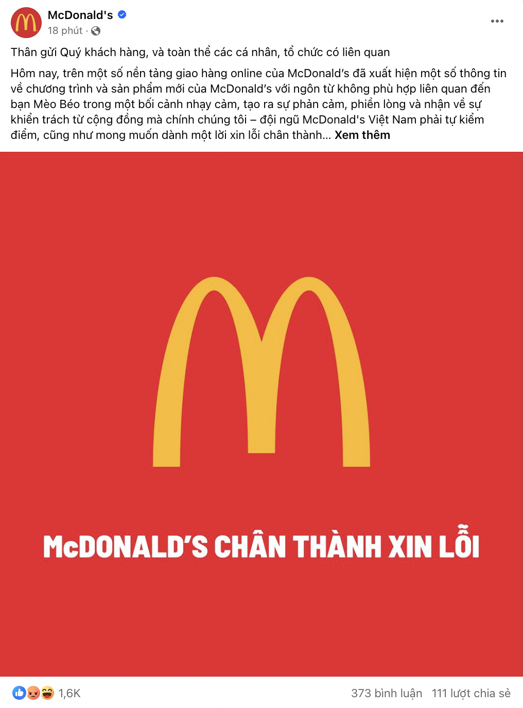 mcdonalds-viet-nam-chinh-thuc-xin-loi-1715002295.png