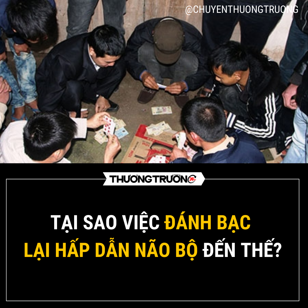tam-ly-hoc-giai-thich-ly-do-tai-sao-viec-danh-bac-lai-hap-dan-nao-bo-den-the-1717647749.png