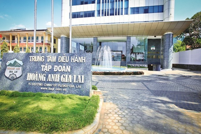 hoang-anh-gia-lai-dong-cua-cong-ty-con-voi-von-dieu-le-hon-5600-ty-dong-1736480922.webp