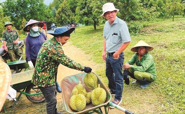 hagl-cua-bau-duc-thu-lai-gan-3-ty-dong-moi-ngay-nho-ban-chuoi-sau-rieng-nuoi-heo-1737954245.jpg