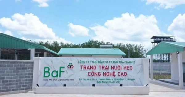 nong-nghiep-baf-viet-nam-ganh-no-vuot-5500-ty-dong-1747390231.webp