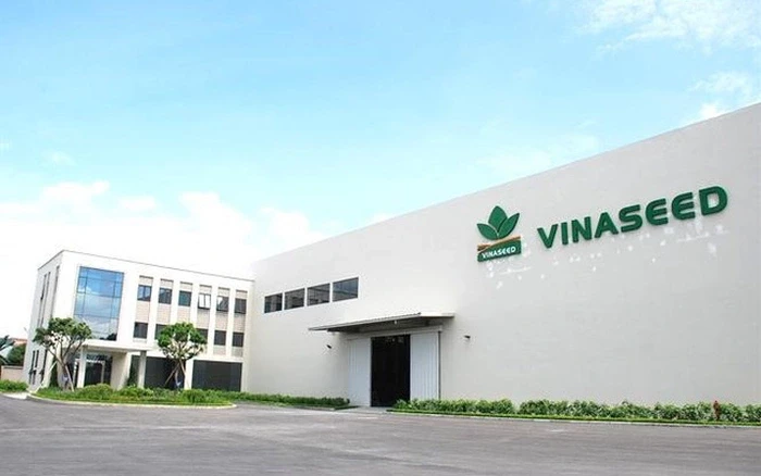 vinaseed-giu-lua-tang-truong-muc-tieu-2025-van-day-thach-thuc-1747731353.webp