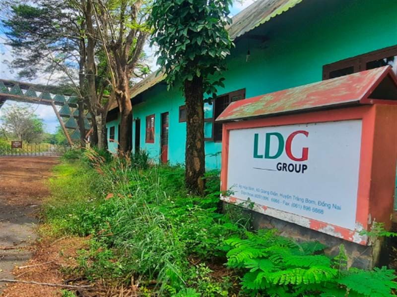 ldg-investment-giua-lan-ranh-song-con-1750053797.png