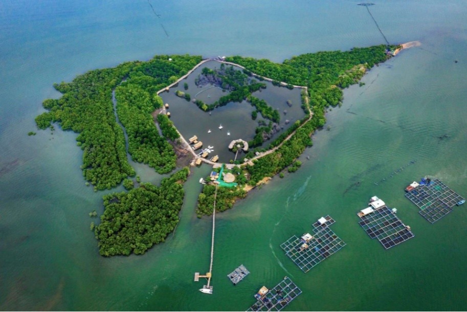huy-san-bay-mo-do-thi-du-an-9000-ty-dong-tai-go-gang-chinh-thuc-bay-mau-1750625311.jpg
